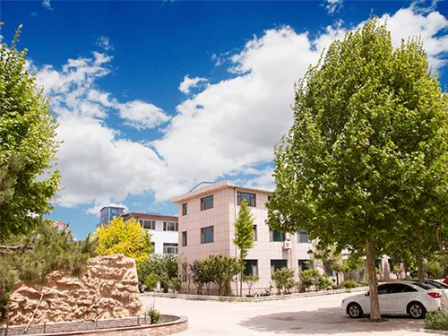 O3臭氧发生器, 臭氧消毒机, DDBD低温等离子(NTP)综合废气治理设备, VOC治理, 臭氧配套设备, 臭氧机